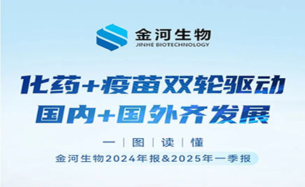 һͼ������ggpoker��������2024�걨&2025��һ����